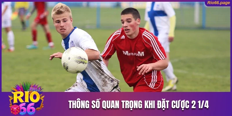 Thông số quan trọng khi đặt cược 2 1/4